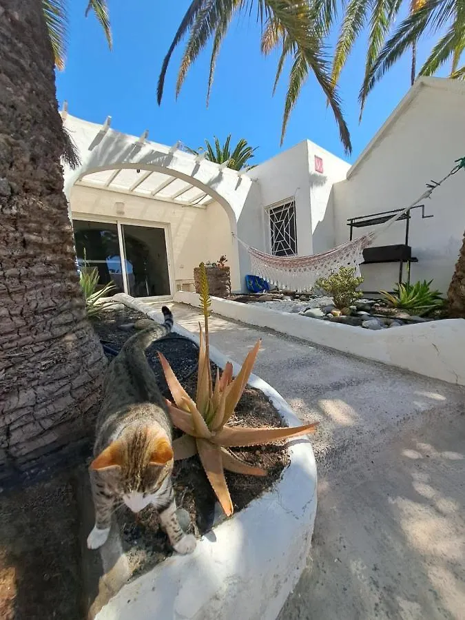 Palm Point Apartment Costa Calma